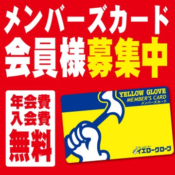 即日発行、年会費無料